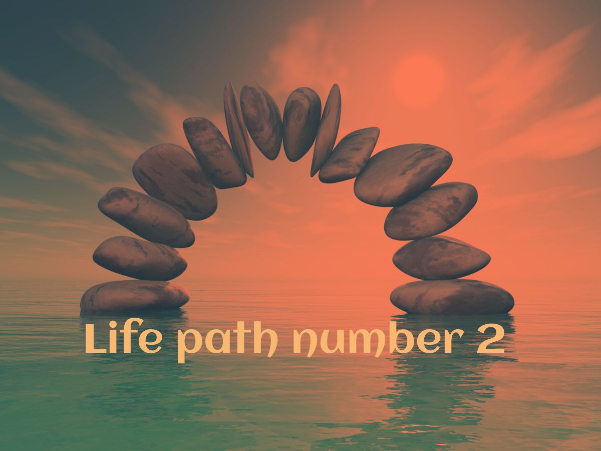 Life path number 2